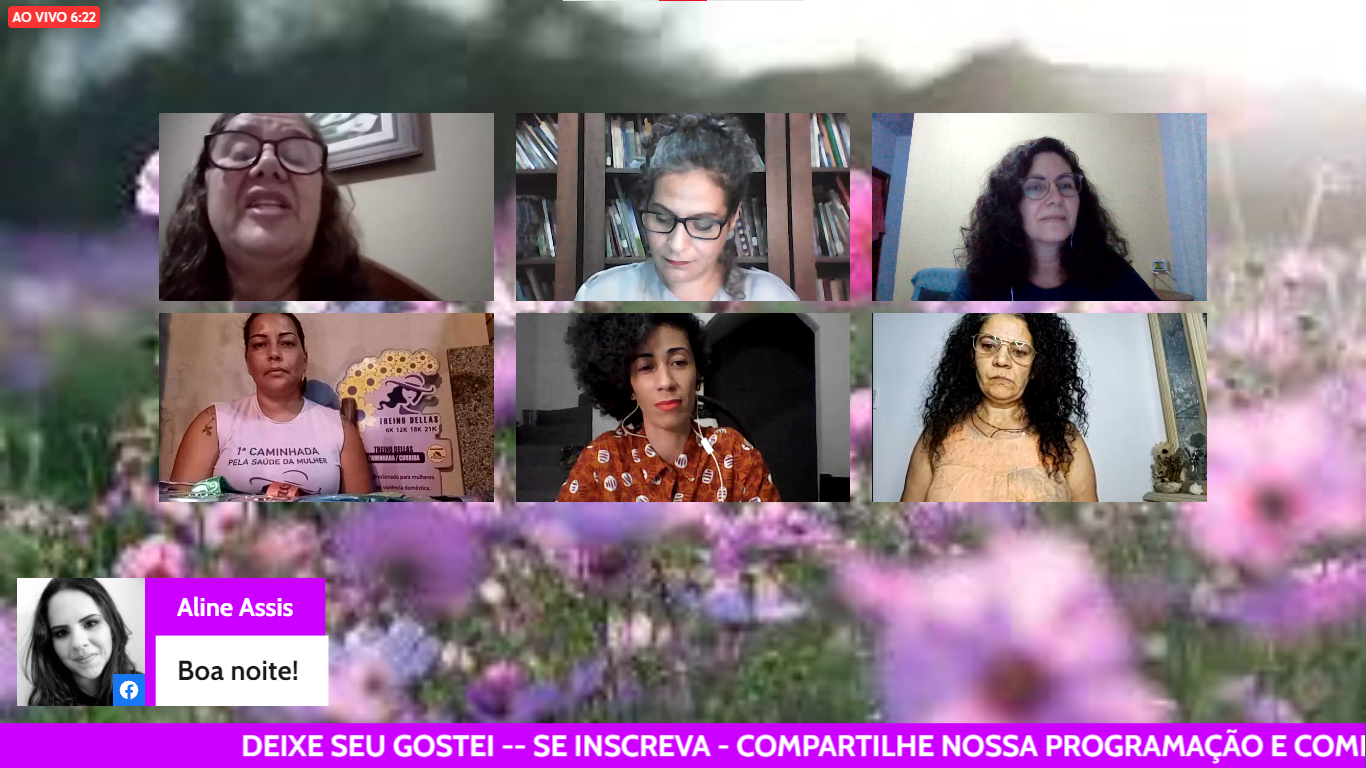 Live do Conselho de direitos da mulher